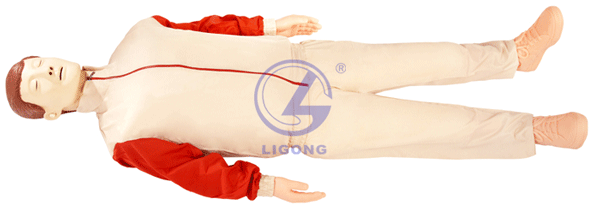 高級全自動(dòng)電腦心肺復(fù)蘇模擬人